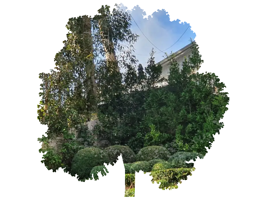 Salazar Landscape Service